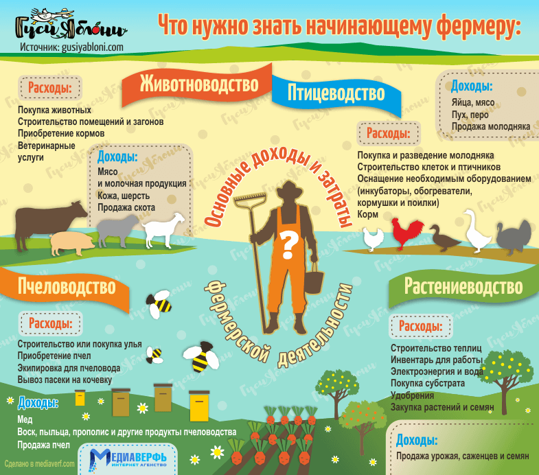 Что нужно знать начинающему фермеру