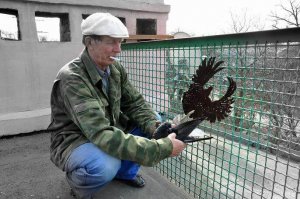 Голубятник со своими питомцами