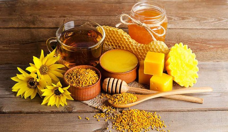 Продукты жизнедеятельности пчел: какие виды используются для лечения Продукты жизнедеятельности пчел: какие виды используются для лечения