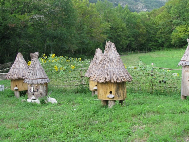 Ульи на пасеке